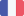 french flag icon