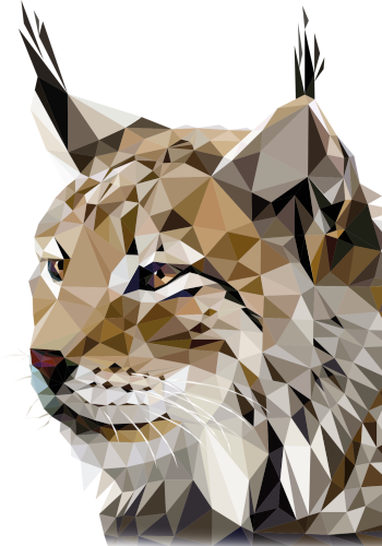 a low poly lynx, symbol of Modulo education group